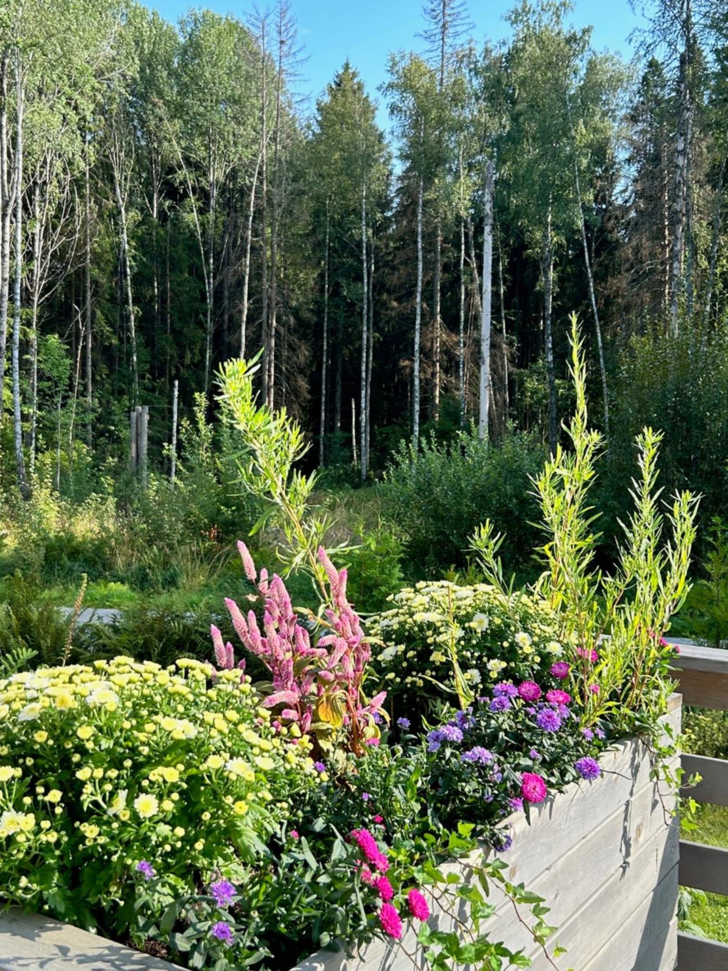Lilla Huset - Countryside Guesthouse, Free Parking Bed & Breakfast